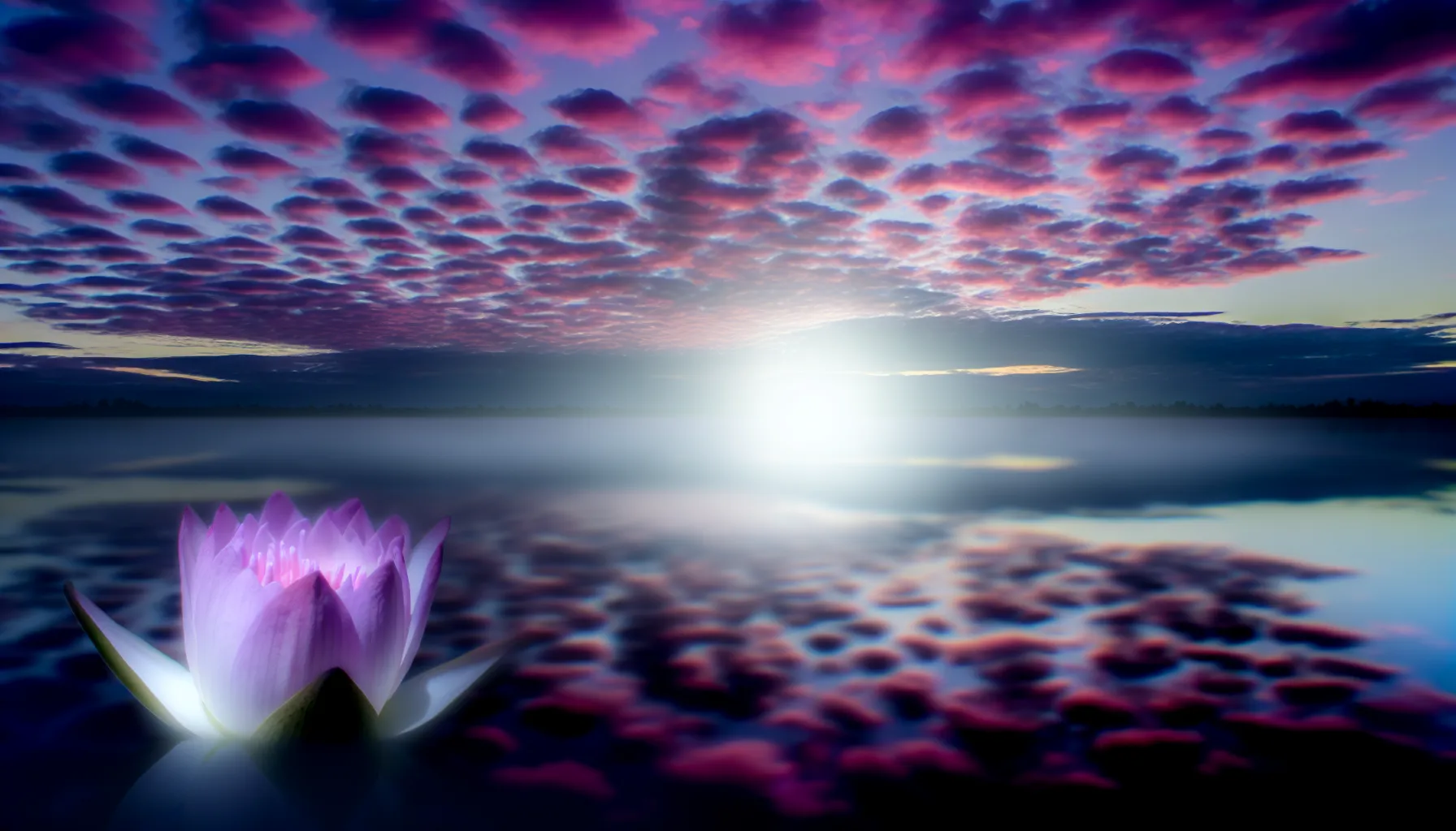 <strong>As the dawn whispers promises of new beginnings, the lotus flower emerges in solitude</strong>, a delicate emblem of the heart's capacity to heal and flourish anew amidst the tranquil waters of self-acceptance.